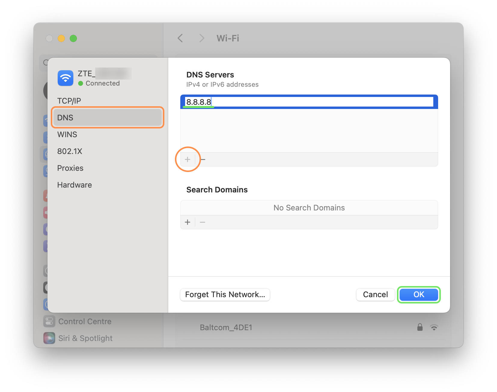 macOS - Network DNS settings.png